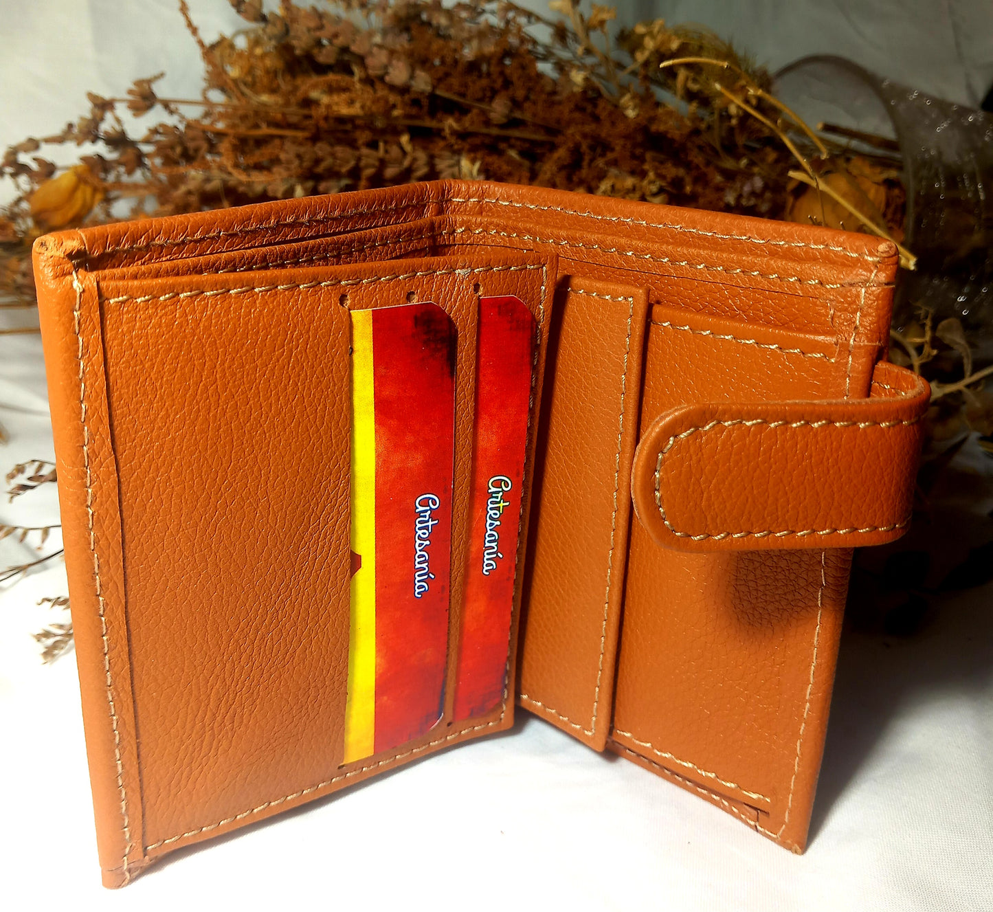 Cartera lago